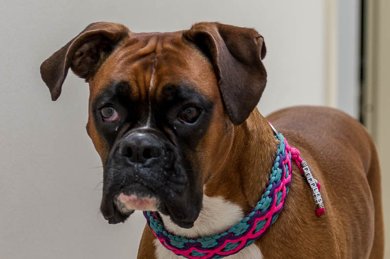 Augenheilkunde copyright Jürgen Haacker 2018