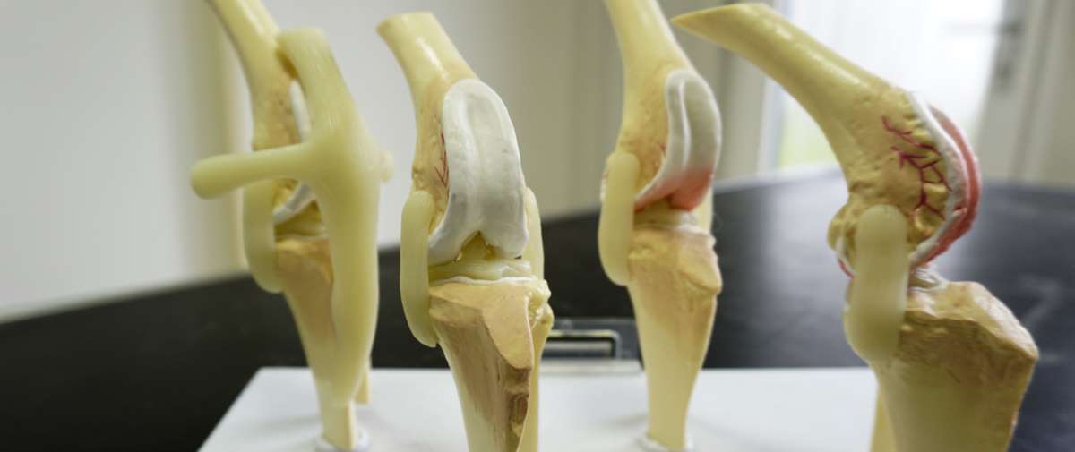 Chirurgie copyright P.Scholl