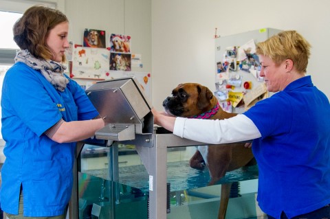 Physiotherapie Copyright Jürgen Haacker 2018