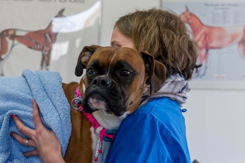 Physiotherapie Copyright Jürgen Haacker 2018