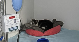 Stationäre Betreuung copyright P.Scholl