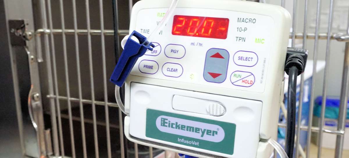 Stationäre Betreuung copyright P.Scholl