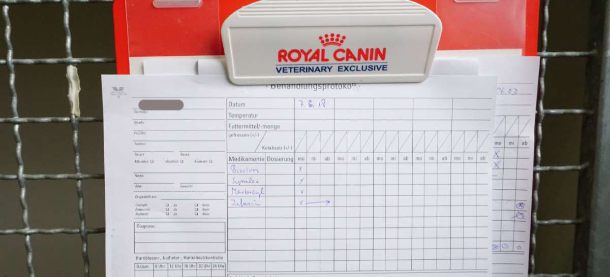 Stationäre Betreuung copyright P.Scholl