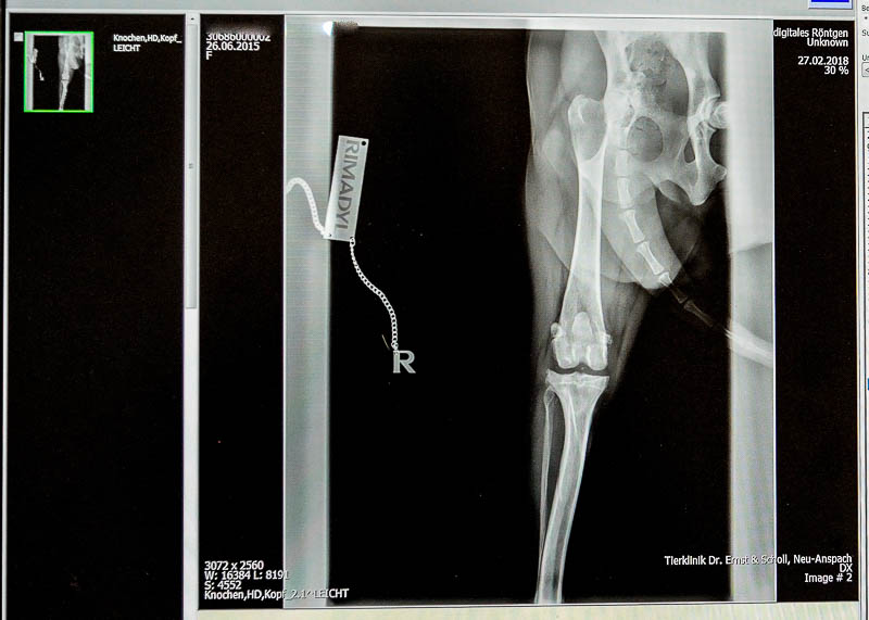Röntgen Copyright Jürgen Haacker 2018